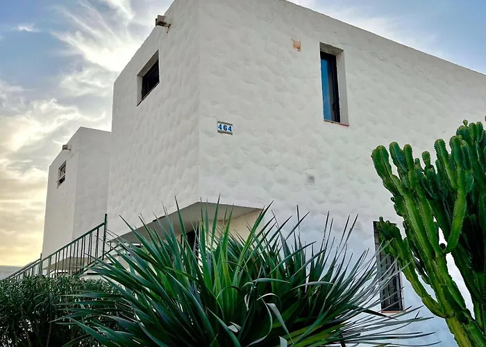 Modern Americas Troya アデヘ