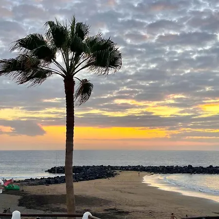 Modern Americas Troya Lejlighed *