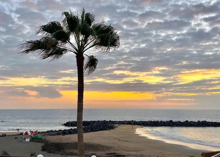 Modern Americas Troya Lejlighed *